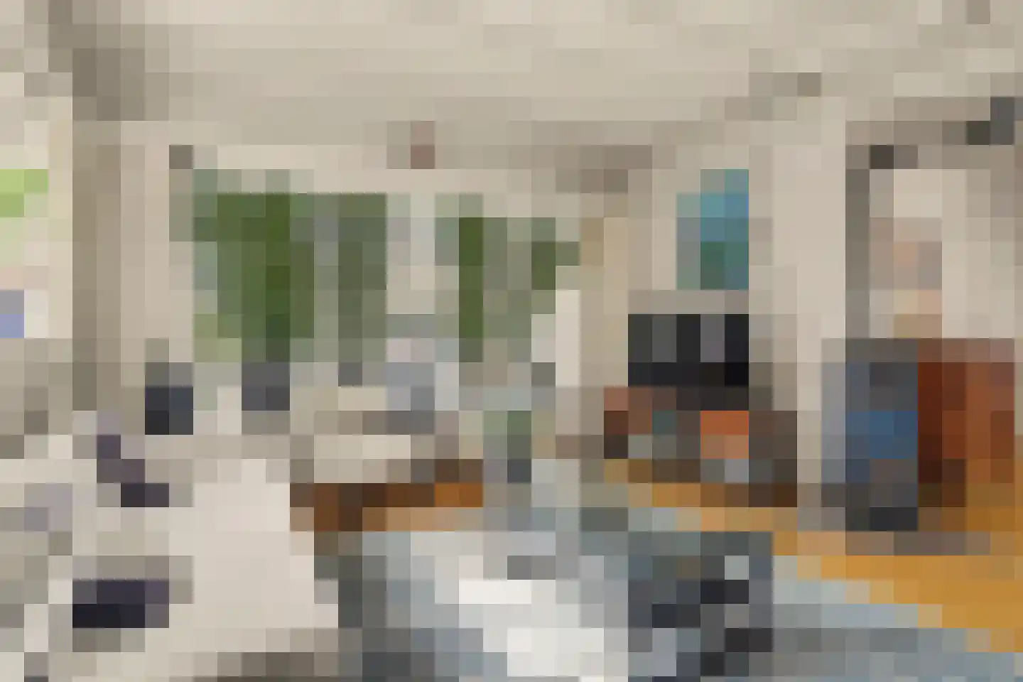 van Wieldrechtstraat 1 Raamsdonksveer thumbnail 8