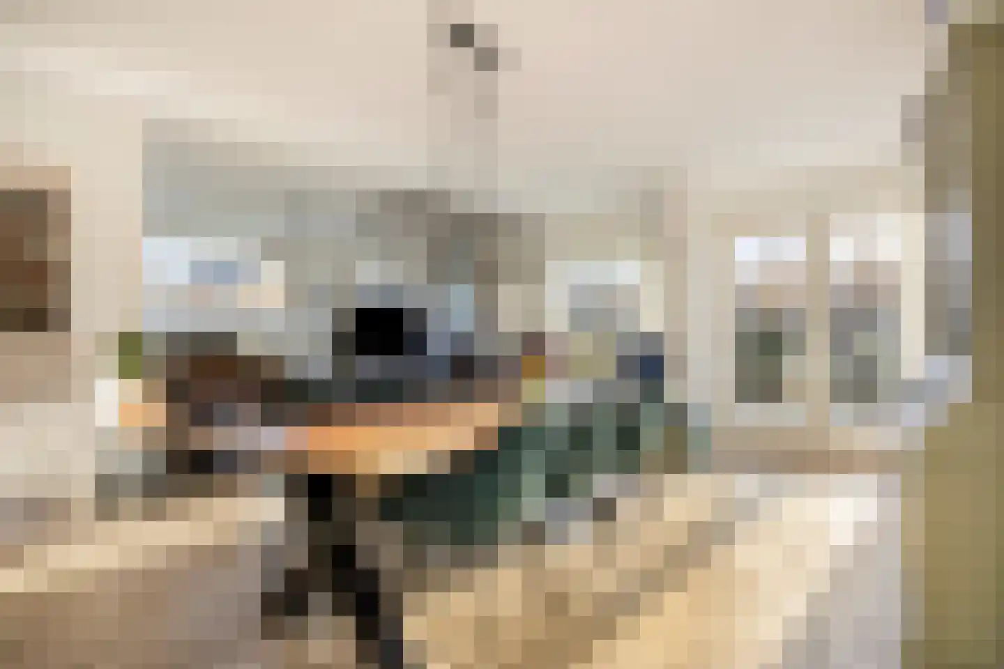 van Wieldrechtstraat 2 Raamsdonksveer thumbnail 10