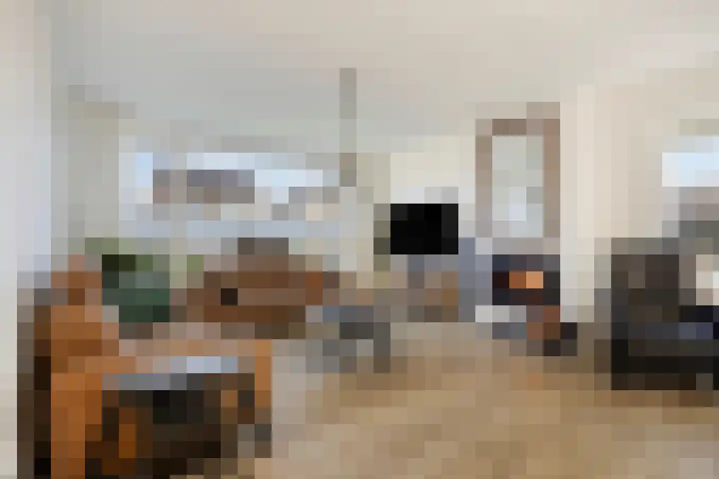 van Wieldrechtstraat 2 Raamsdonksveer thumbnail 12