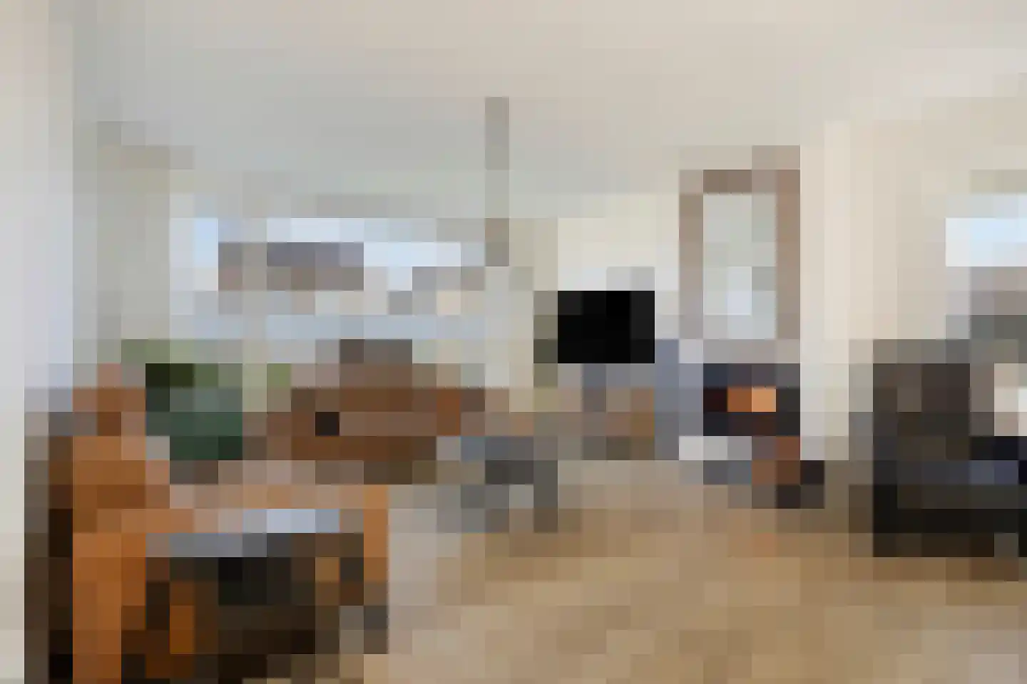 van Wieldrechtstraat 2 Raamsdonksveer thumbnail 13