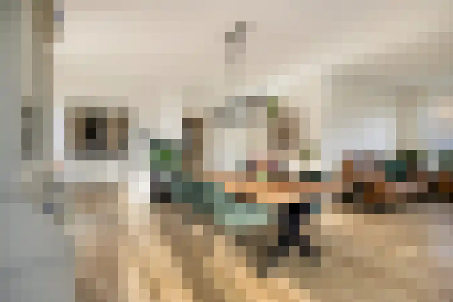 van Wieldrechtstraat 2 Raamsdonksveer thumbnail 14