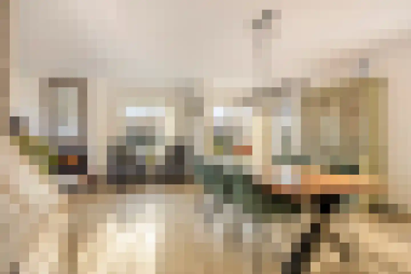 van Wieldrechtstraat 2 Raamsdonksveer thumbnail 15