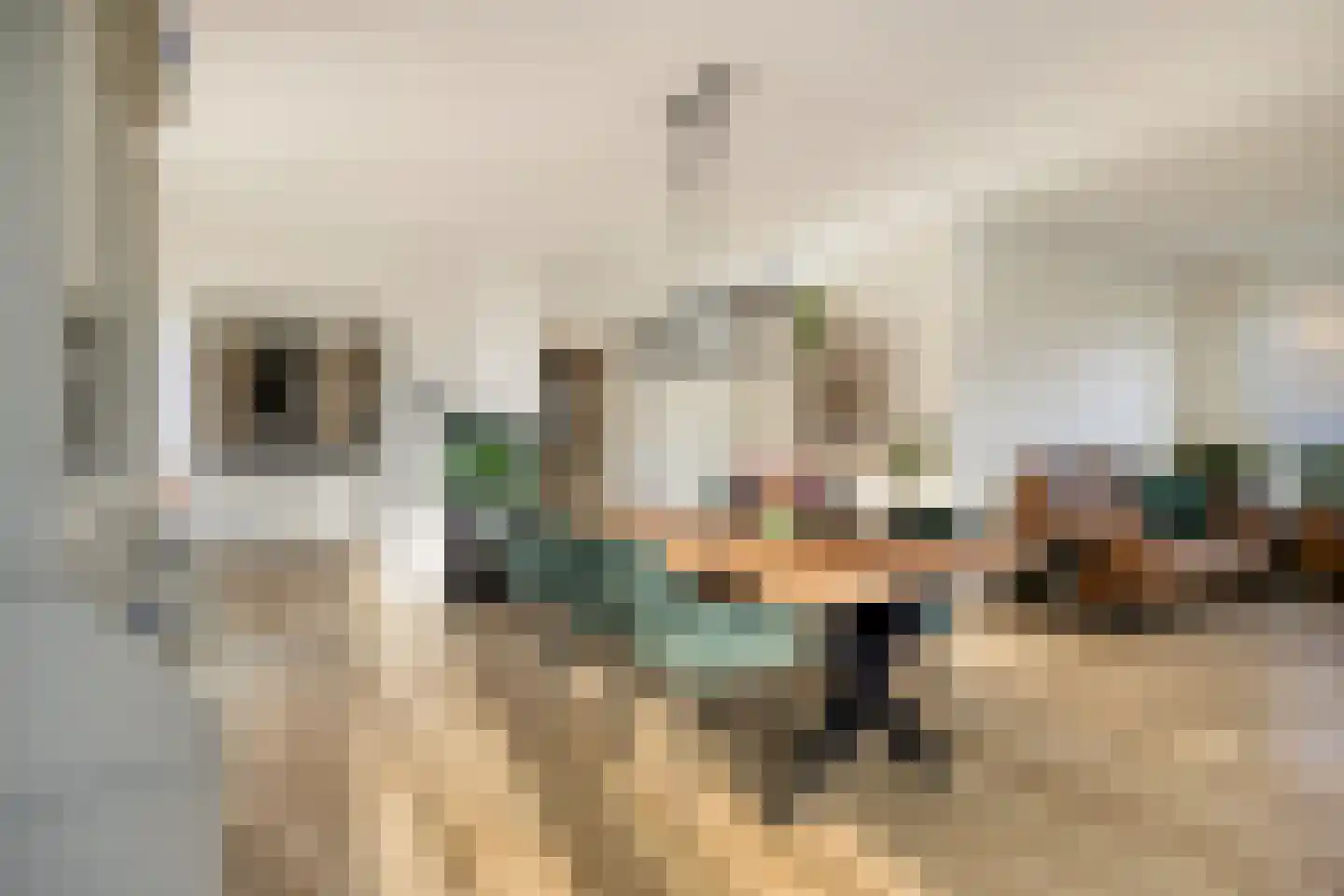 van Wieldrechtstraat 2 Raamsdonksveer thumbnail 15
