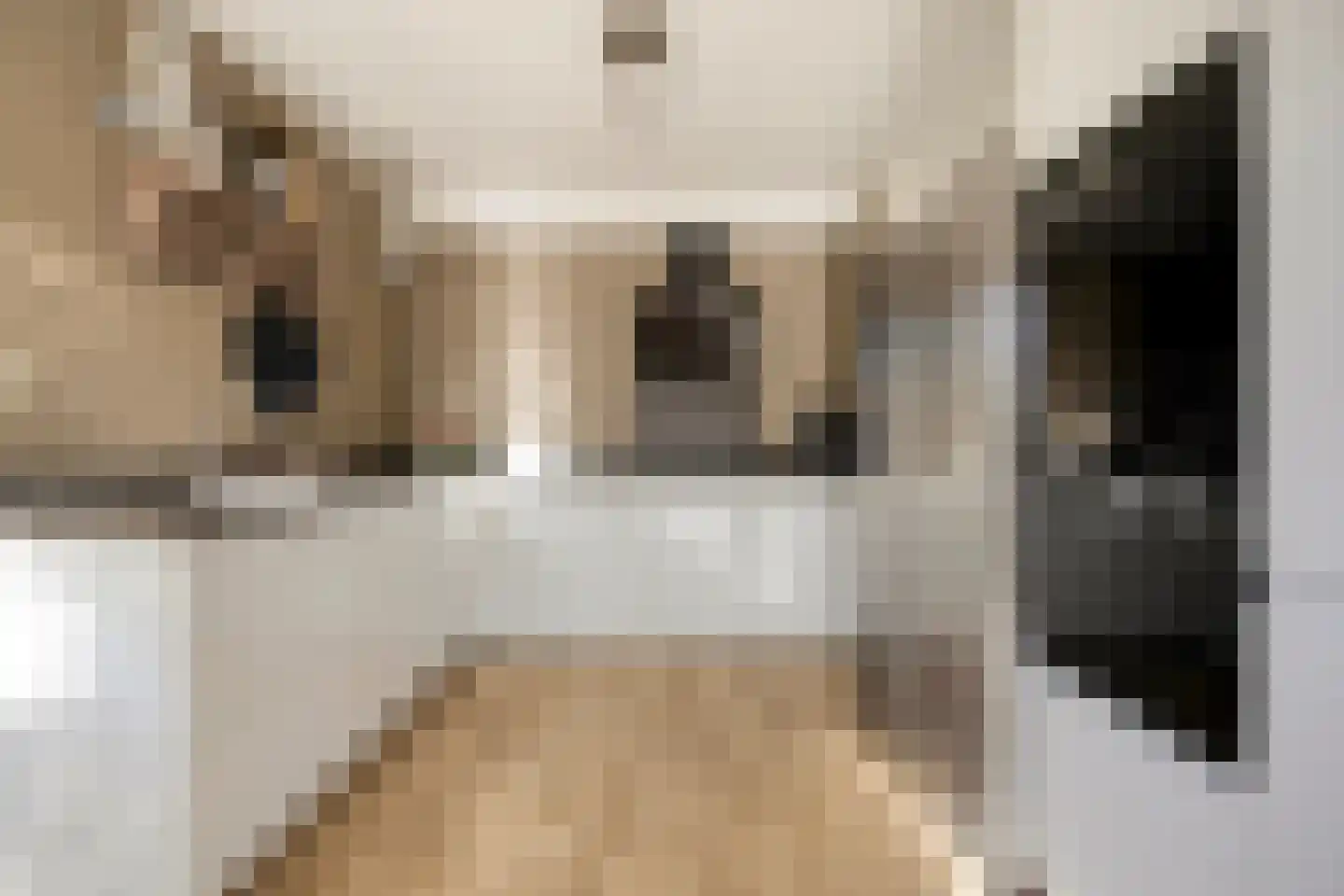 van Wieldrechtstraat 2 Raamsdonksveer thumbnail 17