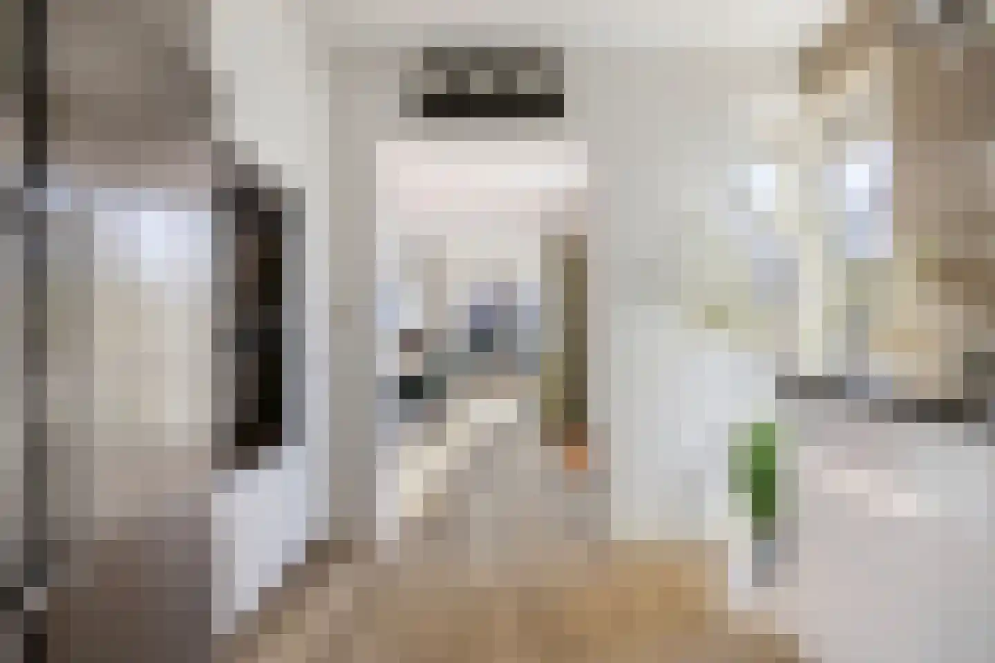 van Wieldrechtstraat 2 Raamsdonksveer thumbnail 18