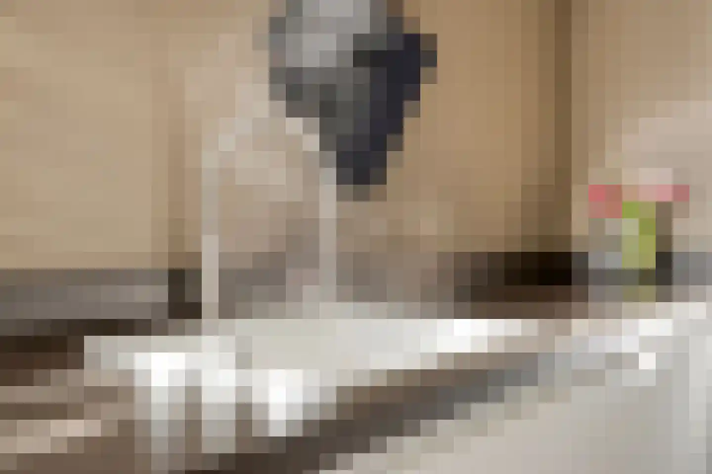 van Wieldrechtstraat 2 Raamsdonksveer thumbnail 19