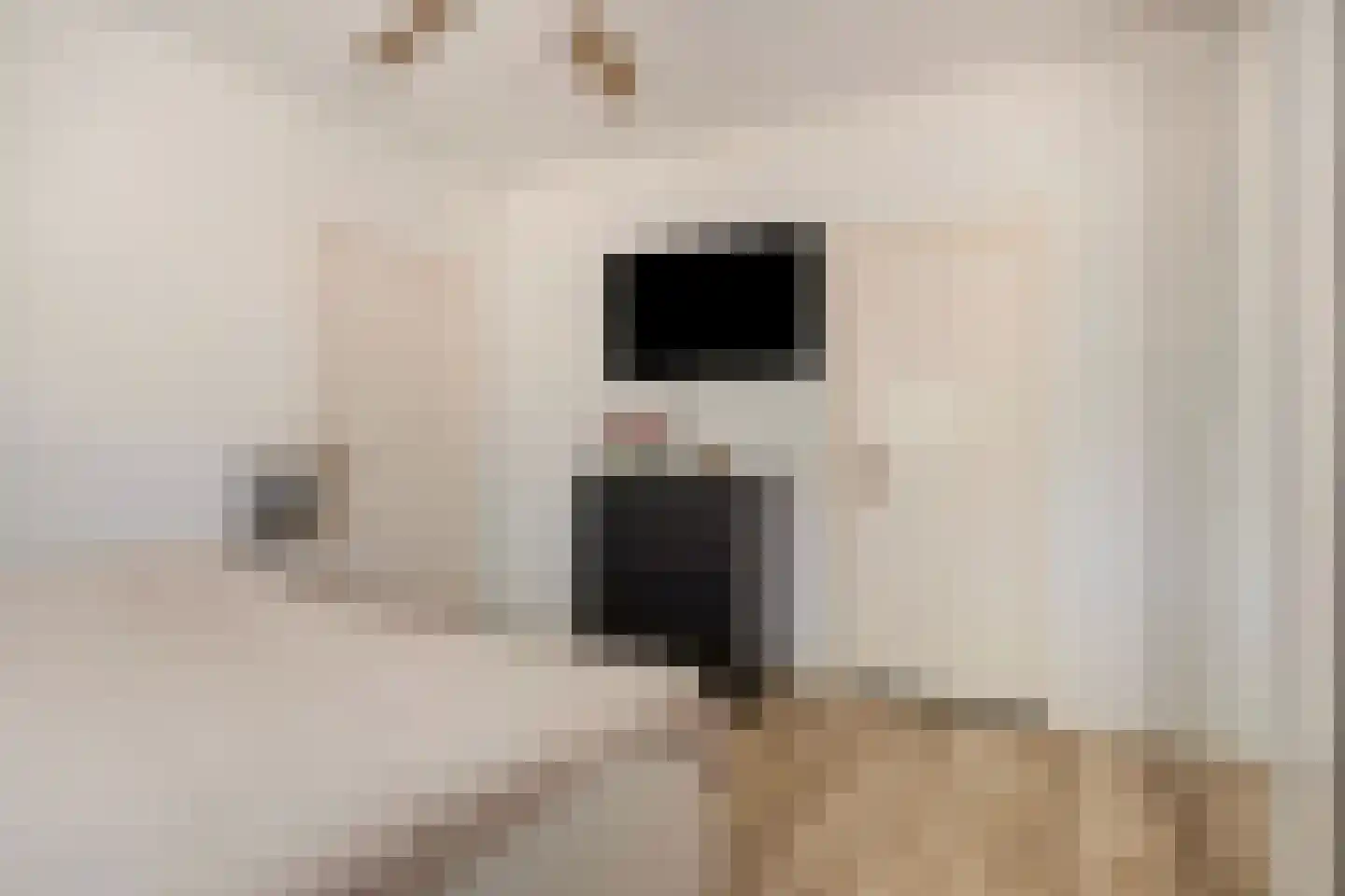 van Wieldrechtstraat 2 Raamsdonksveer thumbnail 22