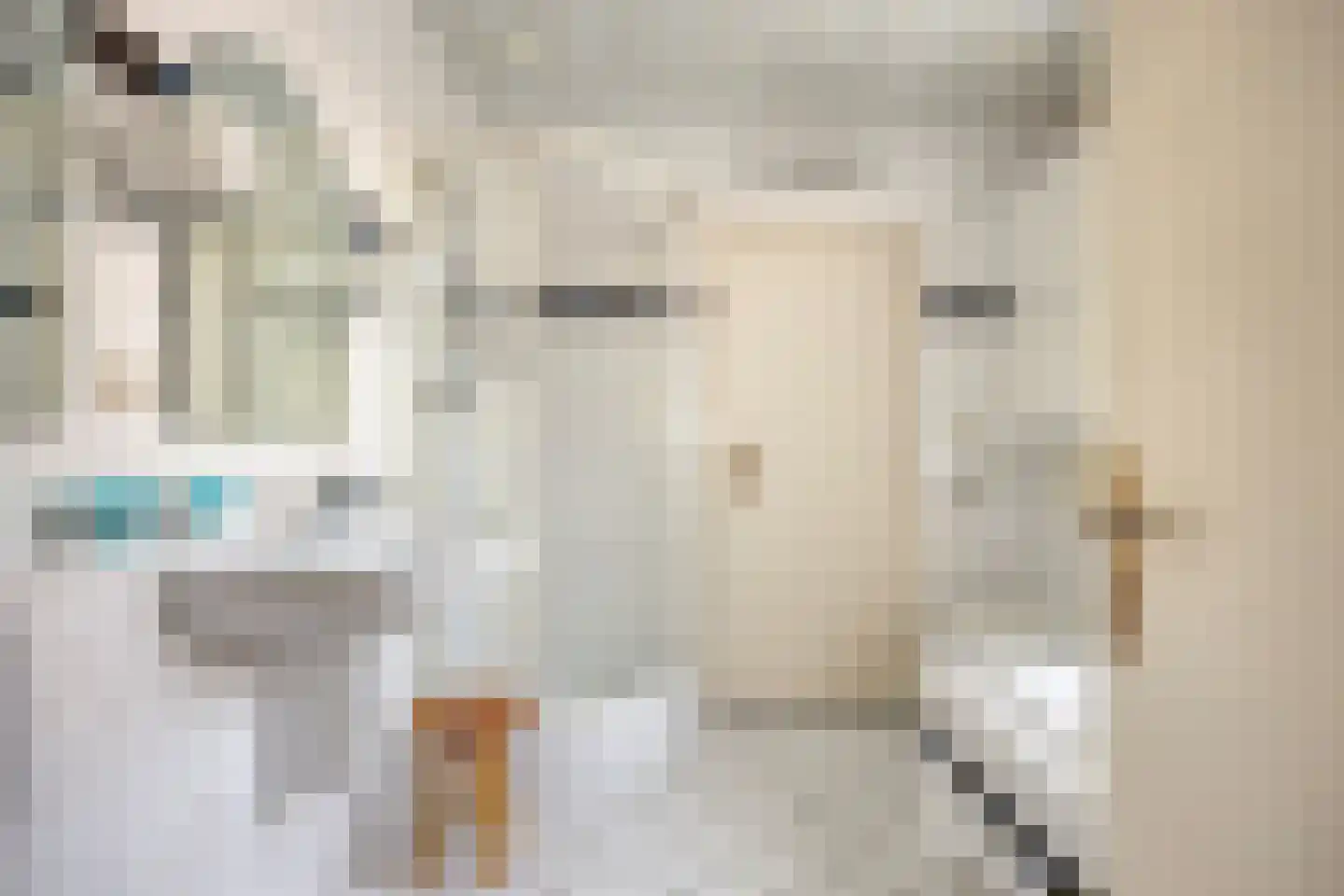 van Wieldrechtstraat 2 Raamsdonksveer thumbnail 23