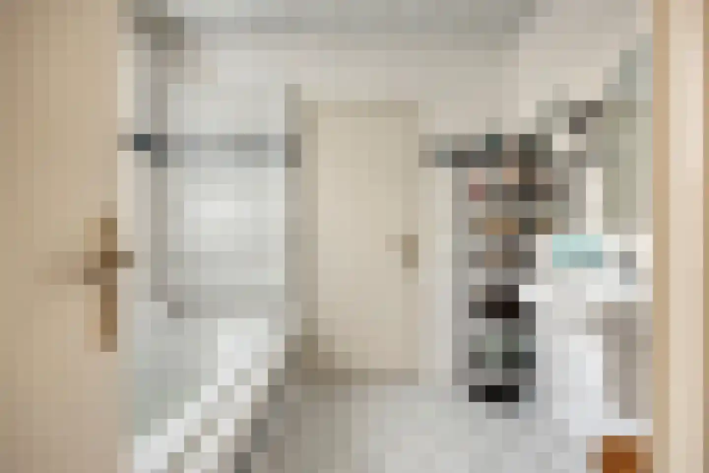 van Wieldrechtstraat 2 Raamsdonksveer thumbnail 24