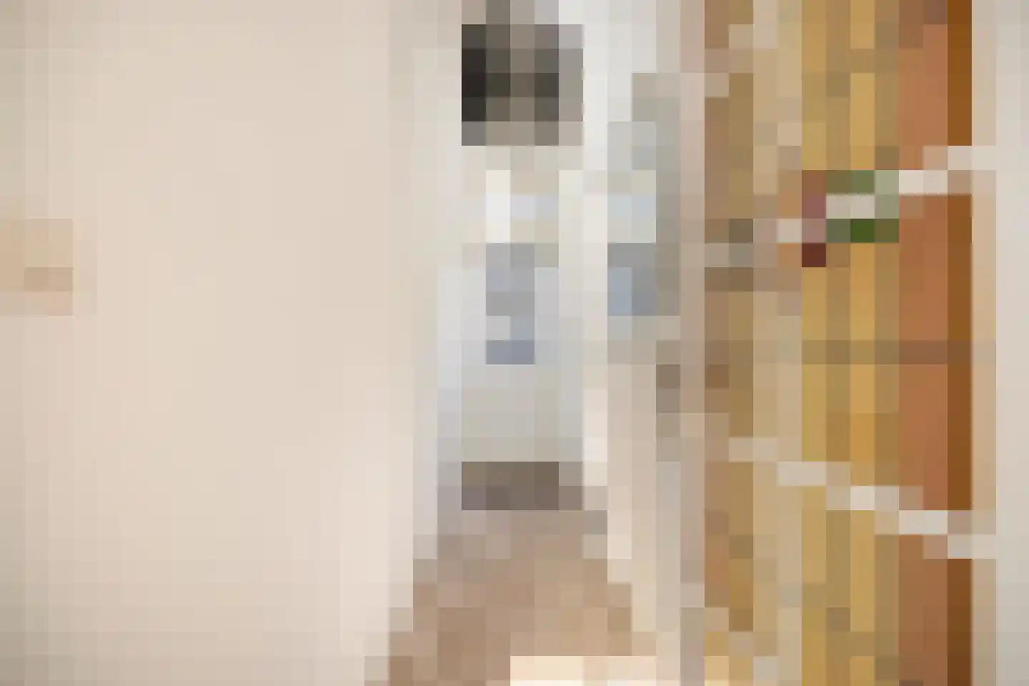 van Wieldrechtstraat 2 Raamsdonksveer thumbnail 25