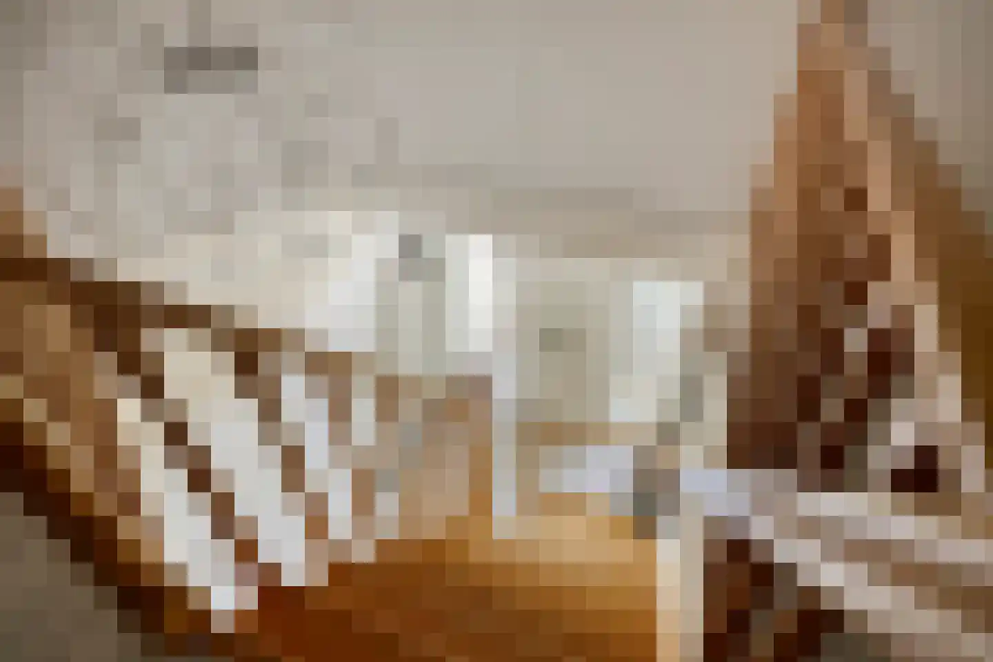 van Wieldrechtstraat 2 Raamsdonksveer thumbnail 28