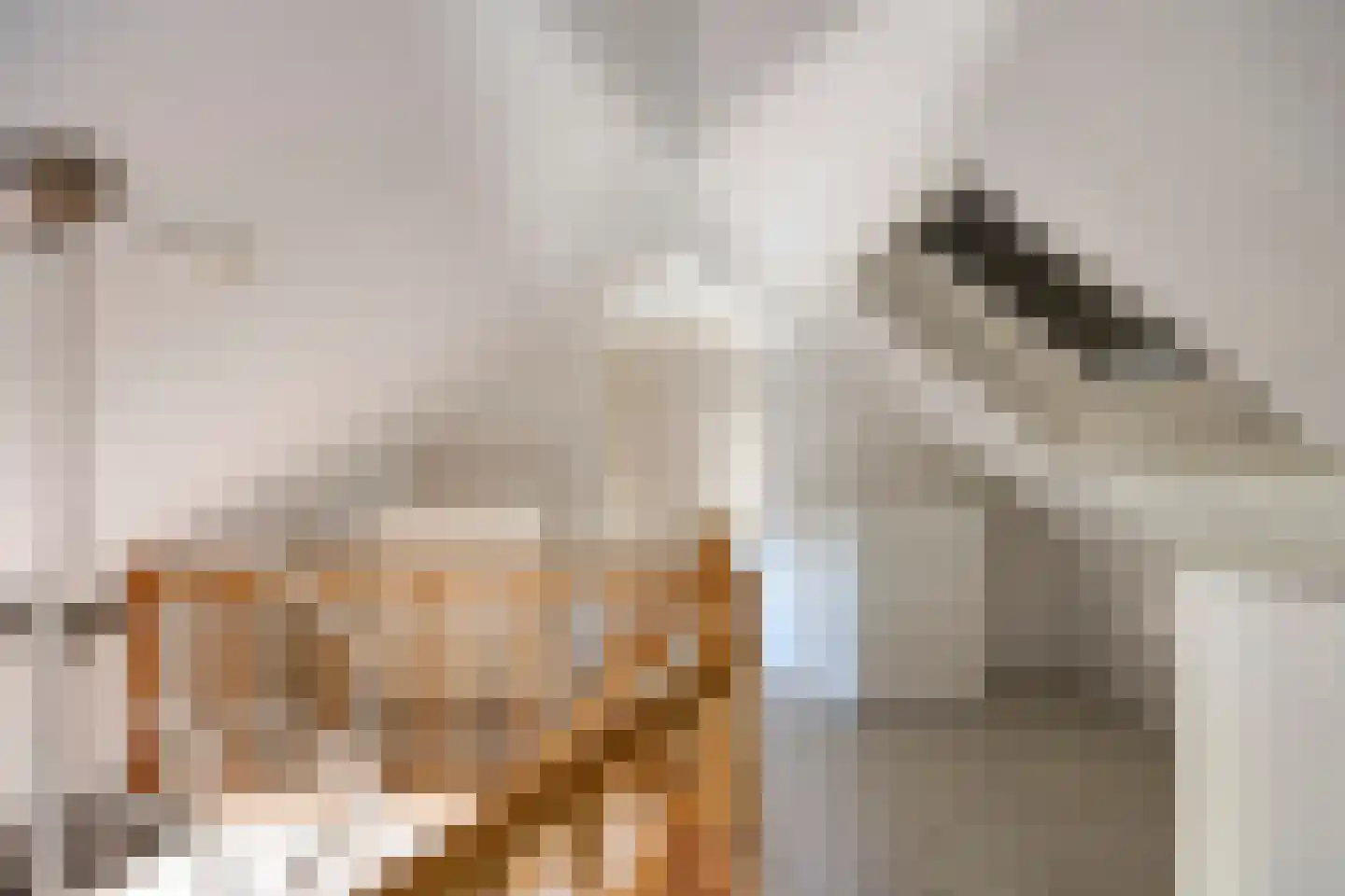van Wieldrechtstraat 2 Raamsdonksveer thumbnail 29
