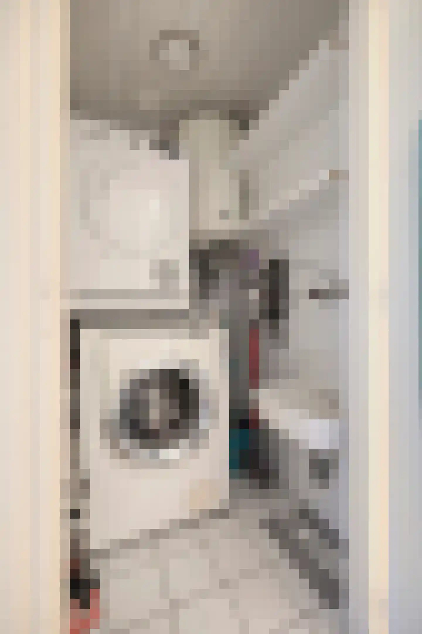 van Wieldrechtstraat 2 Raamsdonksveer thumbnail 31