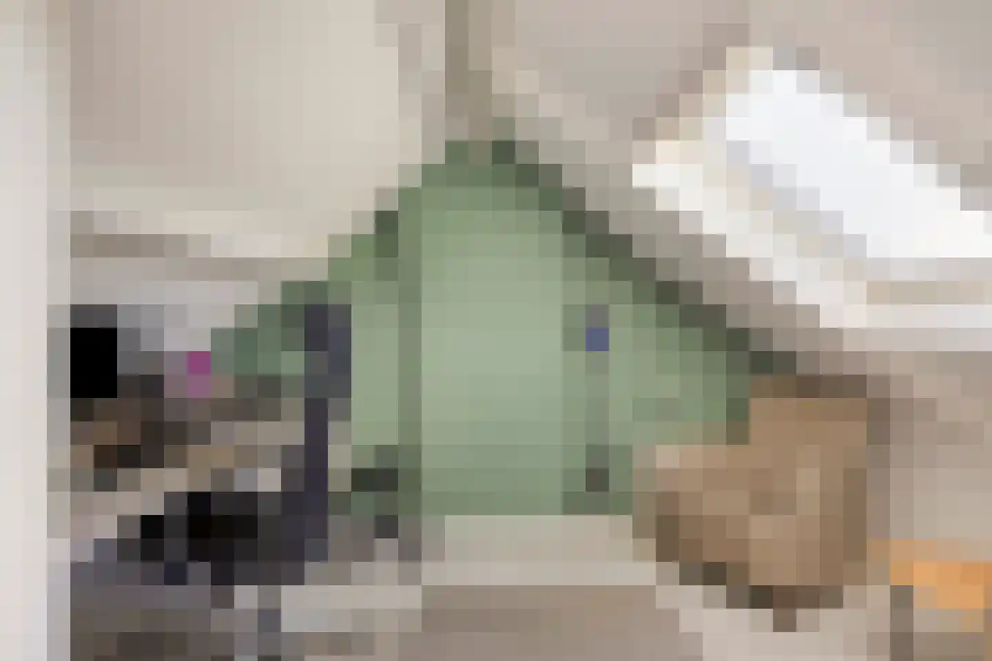 van Wieldrechtstraat 2 Raamsdonksveer thumbnail 35