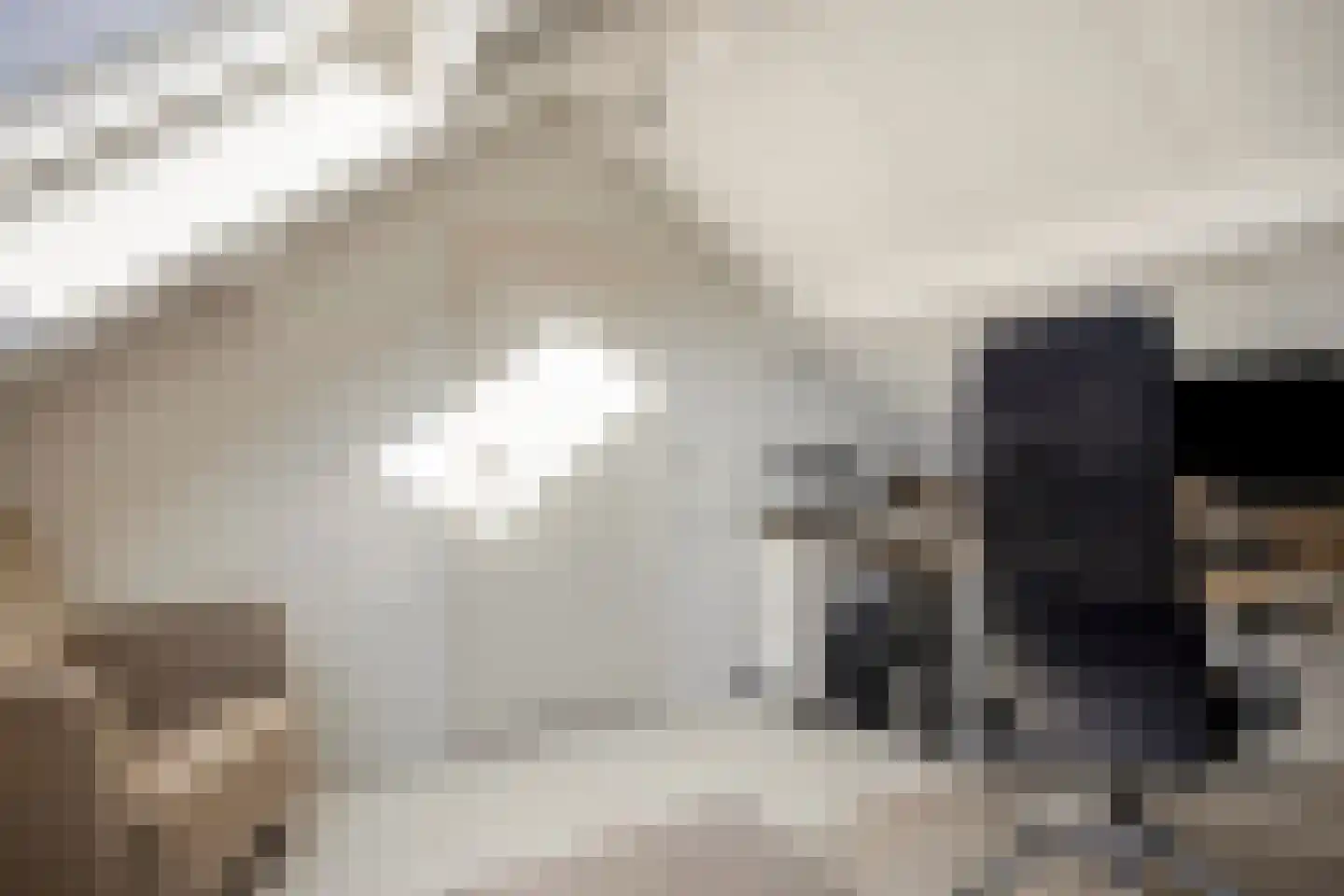 van Wieldrechtstraat 2 Raamsdonksveer thumbnail 36