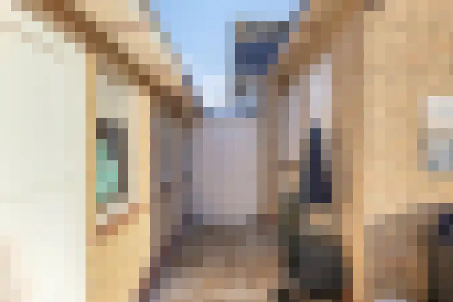 van Wieldrechtstraat 2 Raamsdonksveer thumbnail 37