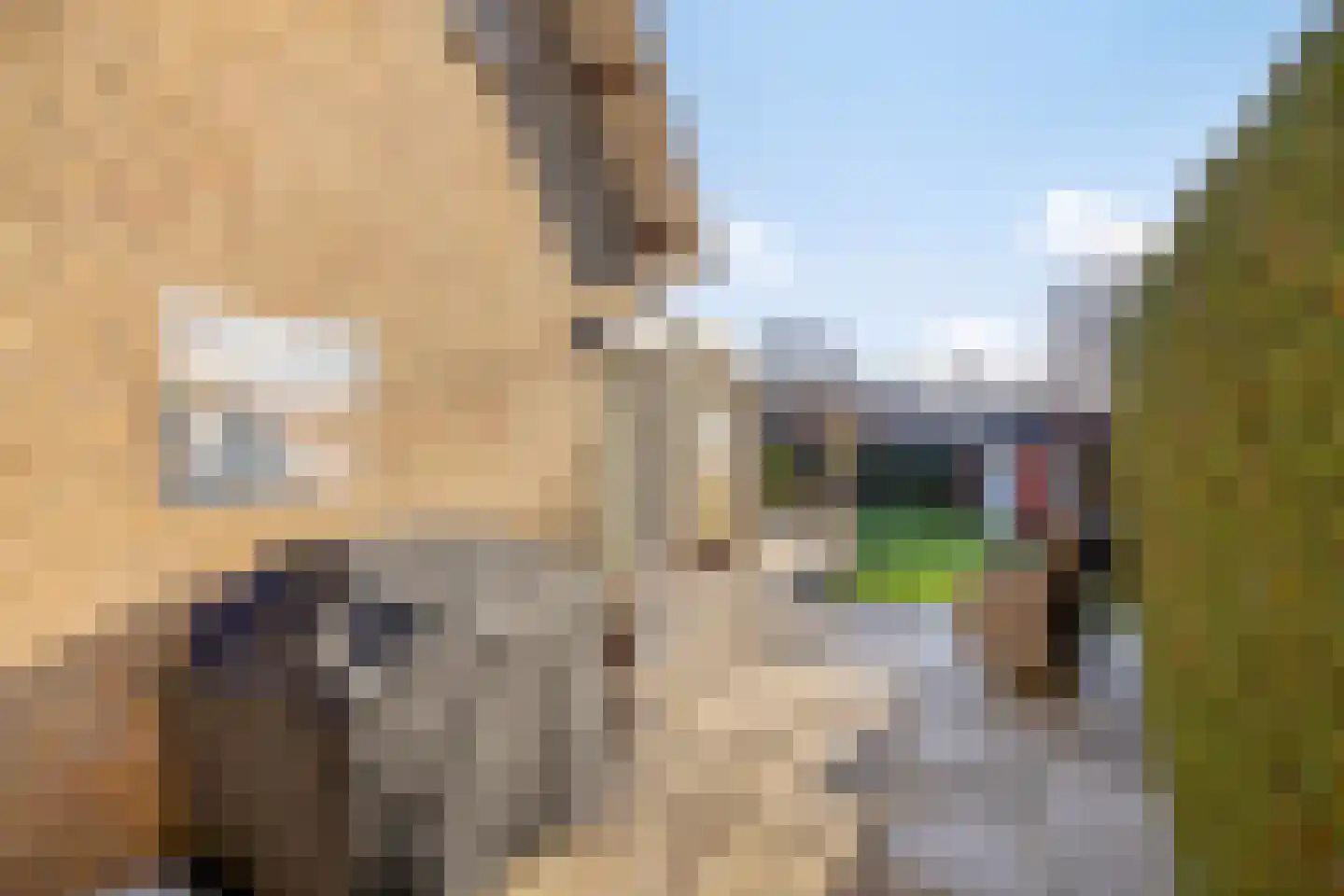 van Wieldrechtstraat 2 Raamsdonksveer thumbnail 38