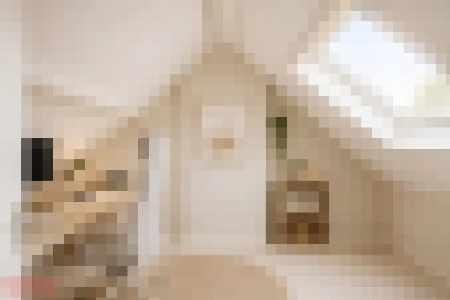 van Wieldrechtstraat 2 Raamsdonksveer thumbnail 40