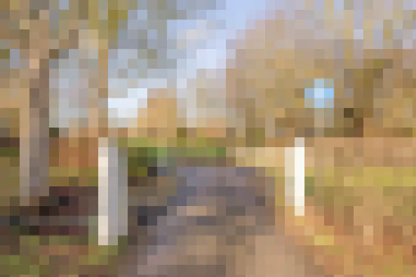 van Wieldrechtstraat 2 Raamsdonksveer thumbnail 52