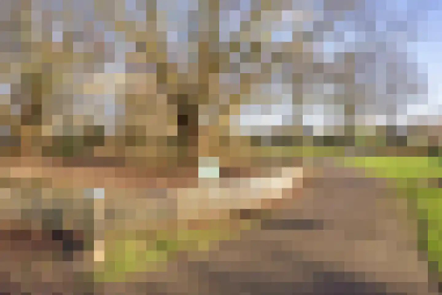van Wieldrechtstraat 2 Raamsdonksveer thumbnail 53
