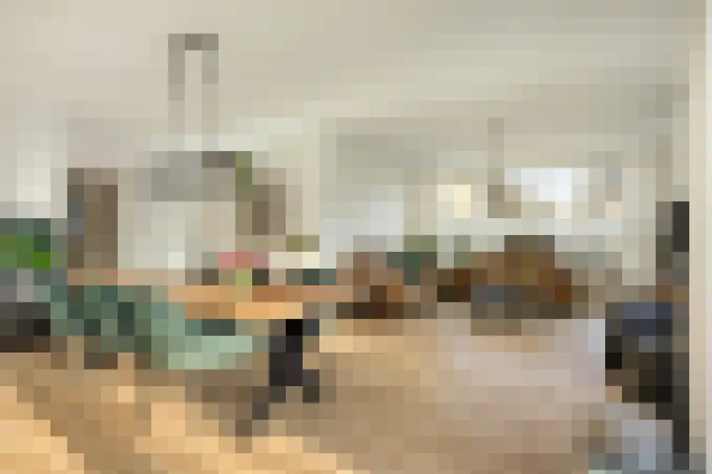 van Wieldrechtstraat 2 Raamsdonksveer thumbnail 8