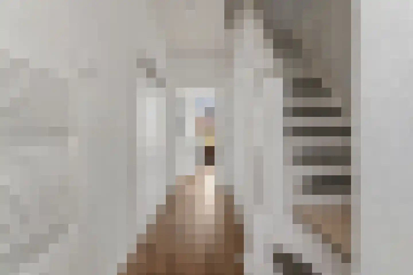 van Wijkstraat 13 Huissen thumbnail 13