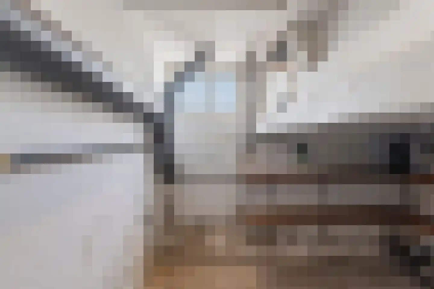 van Wijkstraat 13 Huissen thumbnail 31