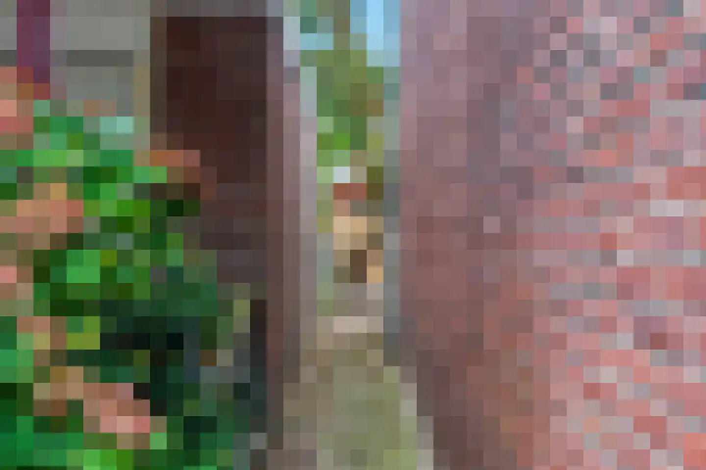 van Wijkstraat 13 Huissen thumbnail 38