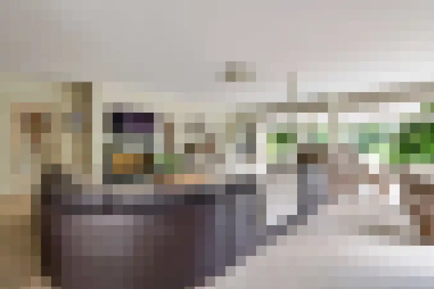 van Wijkstraat 9 Huissen thumbnail 10