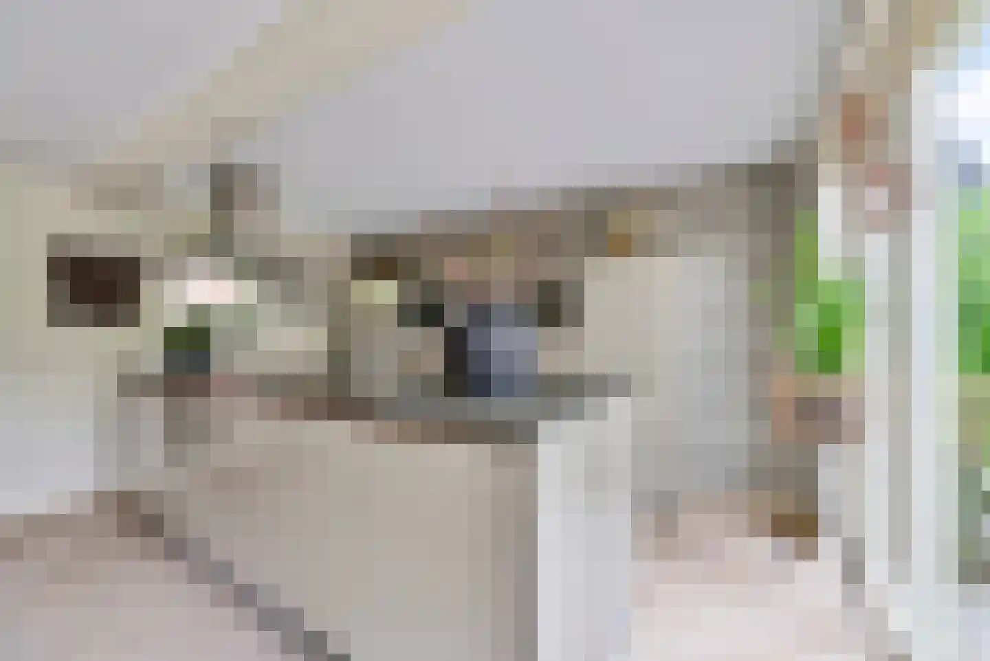 van Wijkstraat 9 Huissen thumbnail 13
