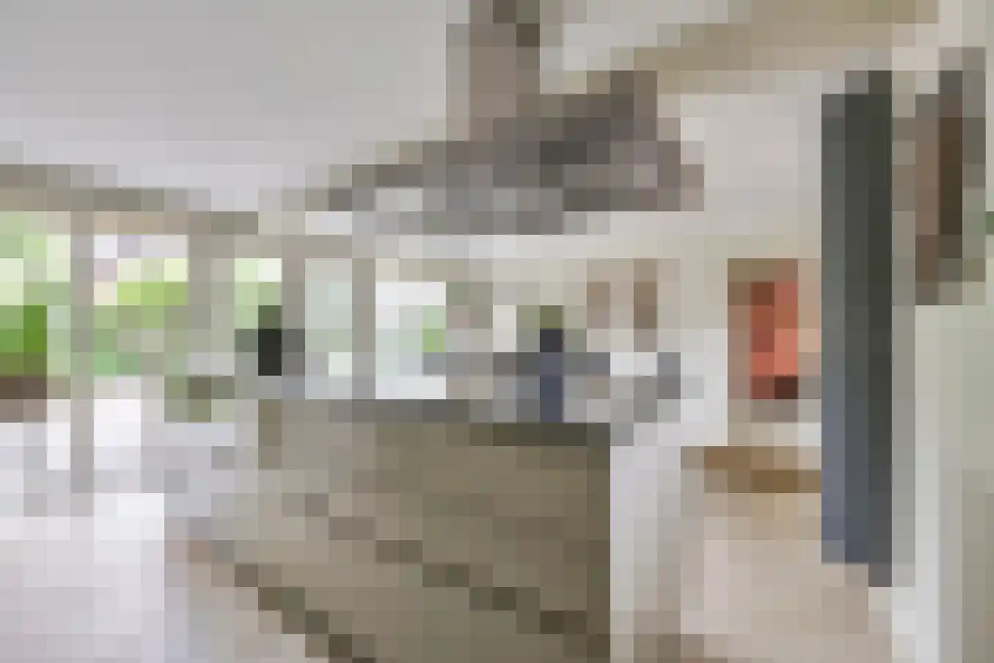 van Wijkstraat 9 Huissen thumbnail 25
