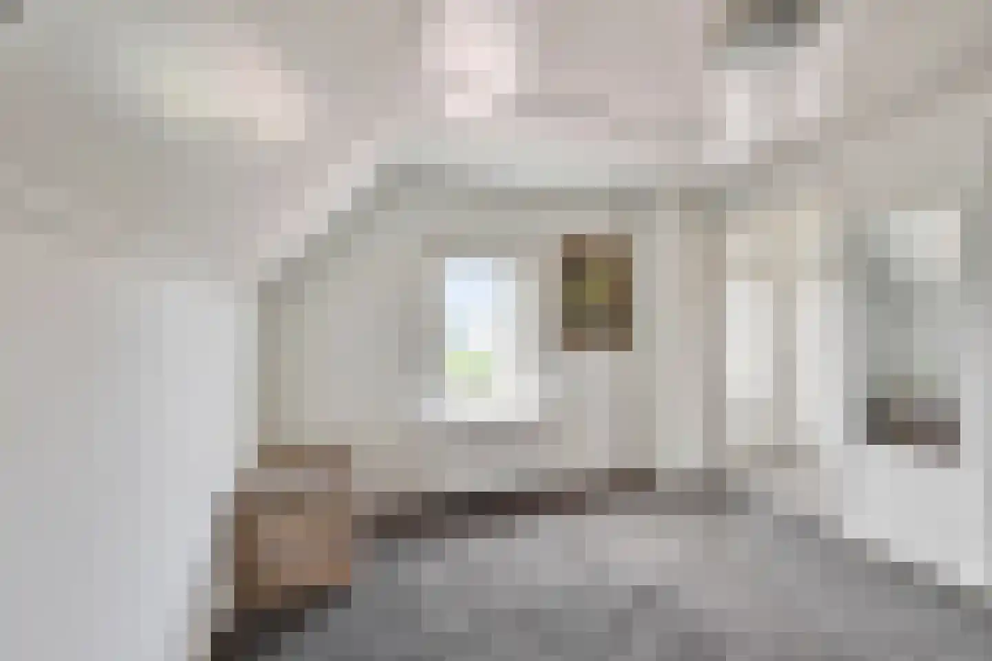 van Wijkstraat 9 Huissen thumbnail 30