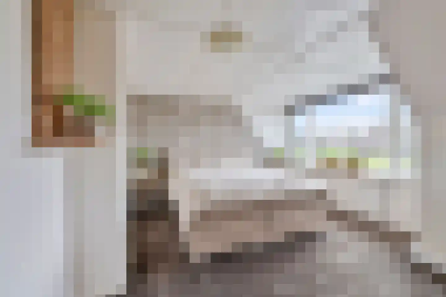 van Wijkstraat 9 Huissen thumbnail 31