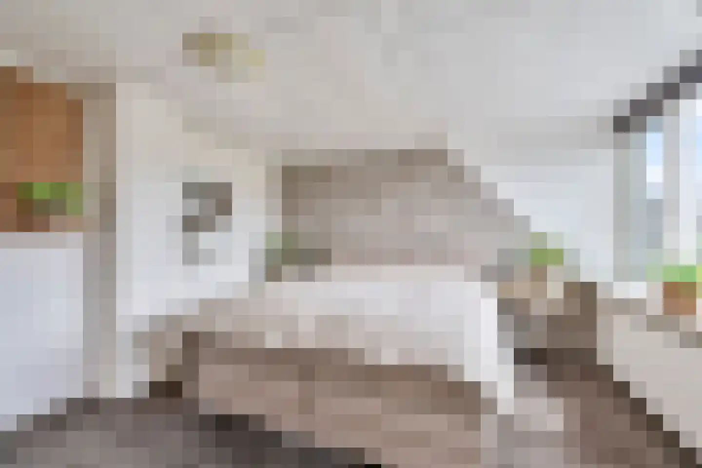 van Wijkstraat 9 Huissen thumbnail 32