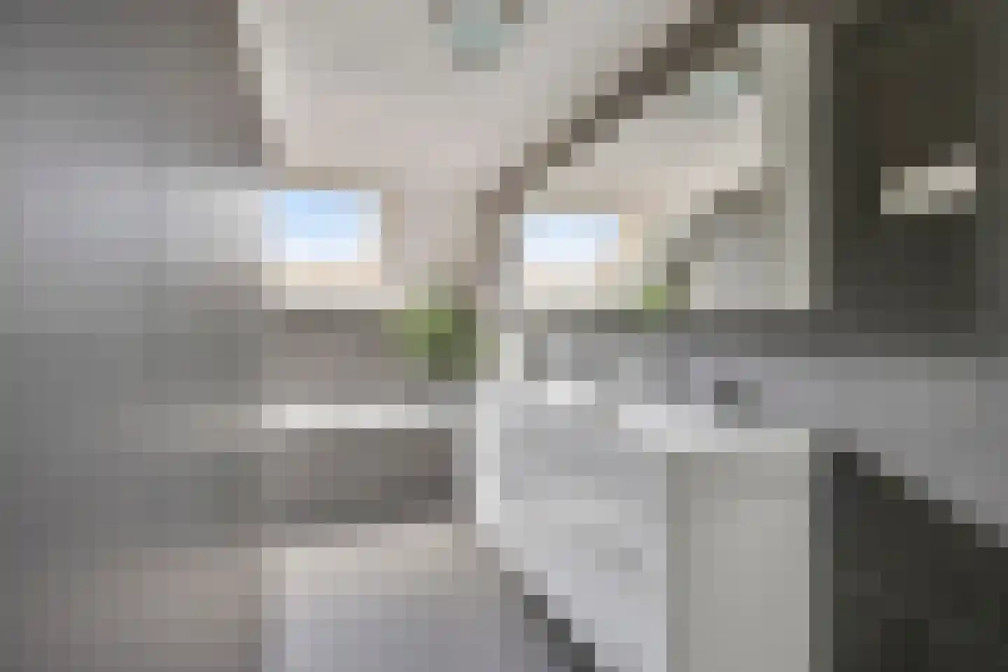 van Wijkstraat 9 Huissen thumbnail 34