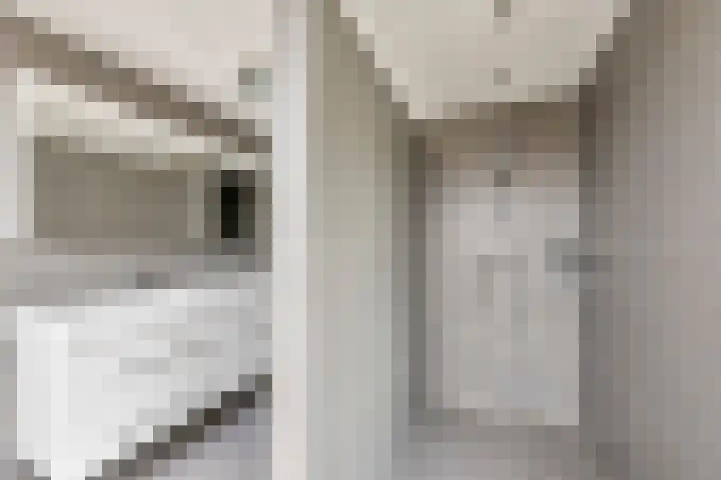 van Wijkstraat 9 Huissen thumbnail 36