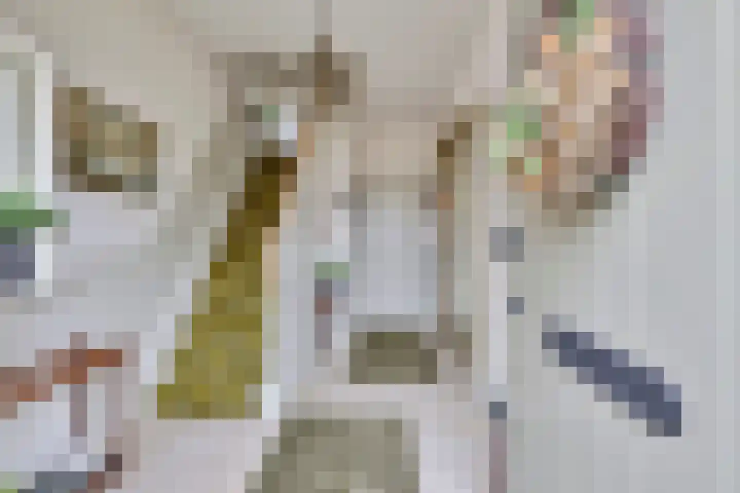 van Wijkstraat 9 Huissen thumbnail 7