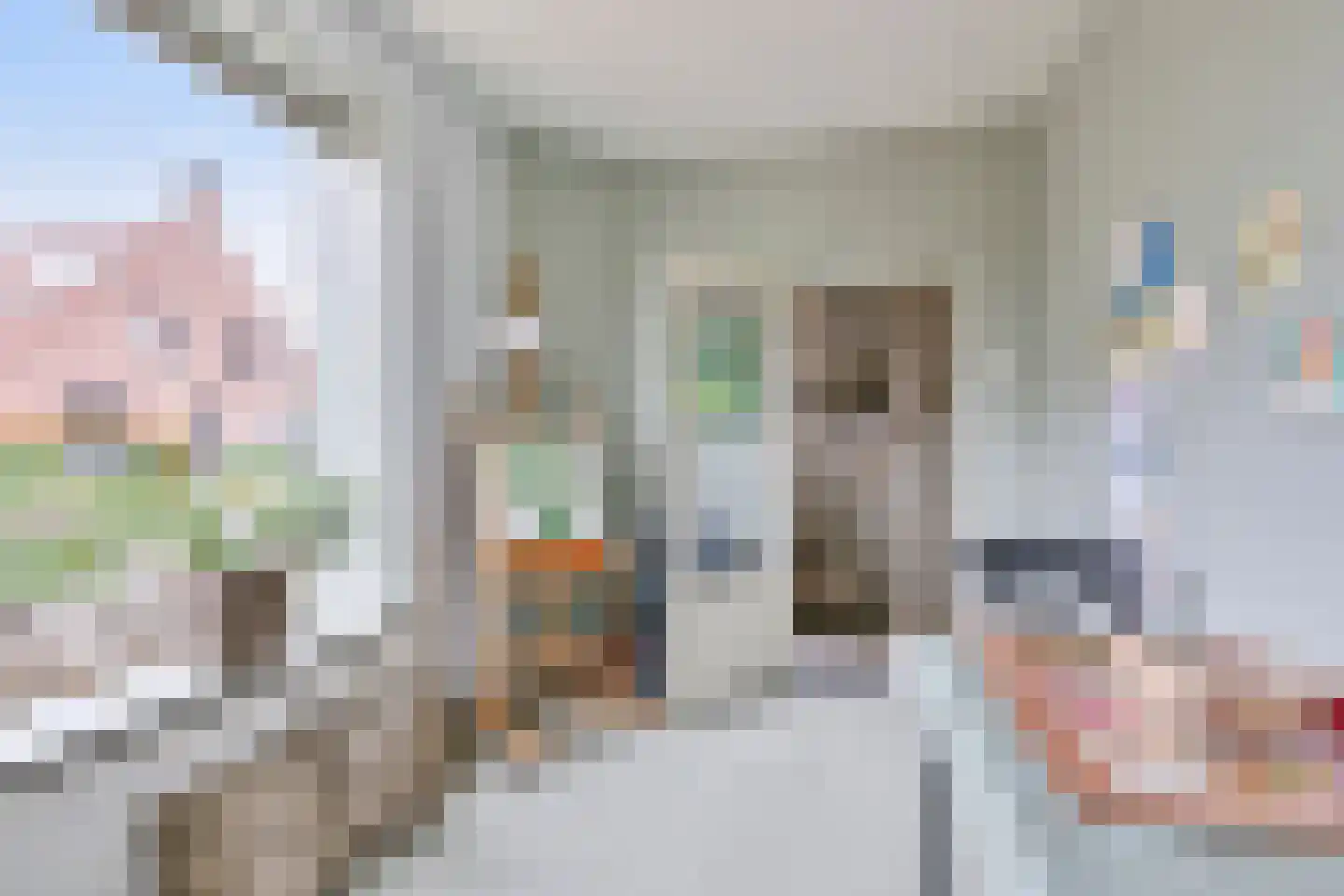 van Wijkstraat 9 Huissen thumbnail 8
