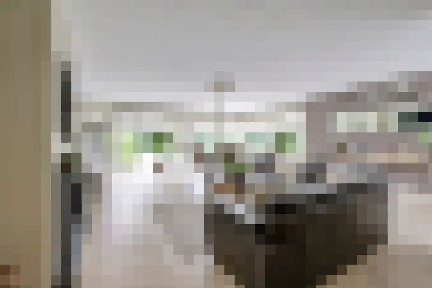 van Wijkstraat 9 Huissen thumbnail 9