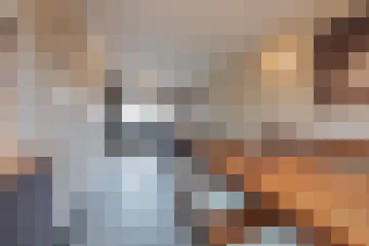 van Wijlickshove 11 Lottum thumbnail 14