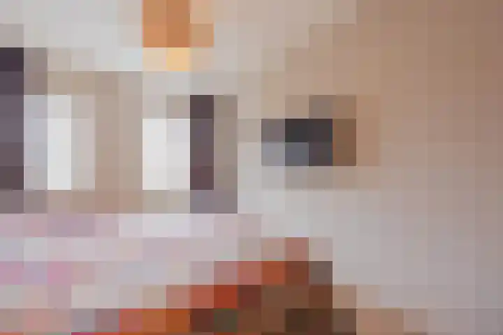 van Wijlickshove 11 Lottum thumbnail 18