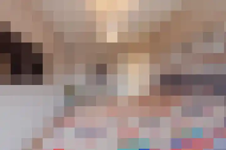 van Wijlickshove 11 Lottum thumbnail 19