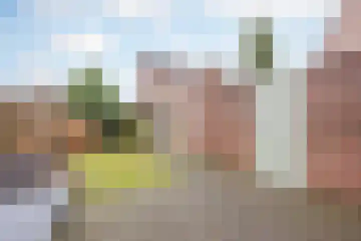 van Wijlickshove 11 Lottum foto 2