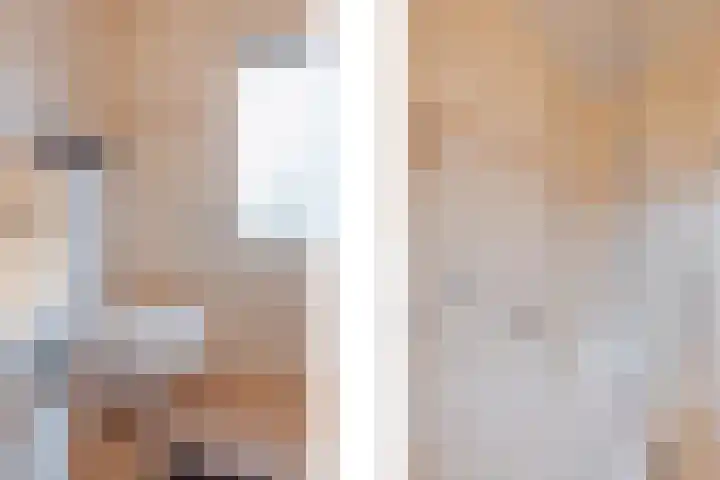 van Wijlickshove 11 Lottum thumbnail 23