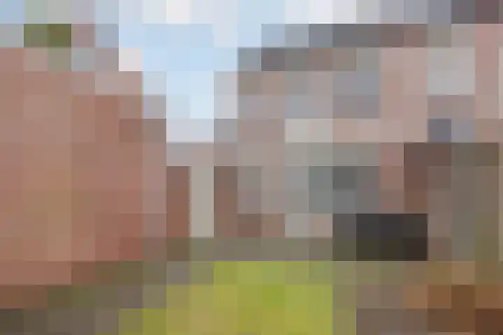 van Wijlickshove 11 Lottum thumbnail 28