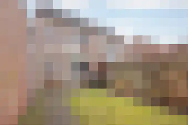 van Wijlickshove 11 Lottum foto 3