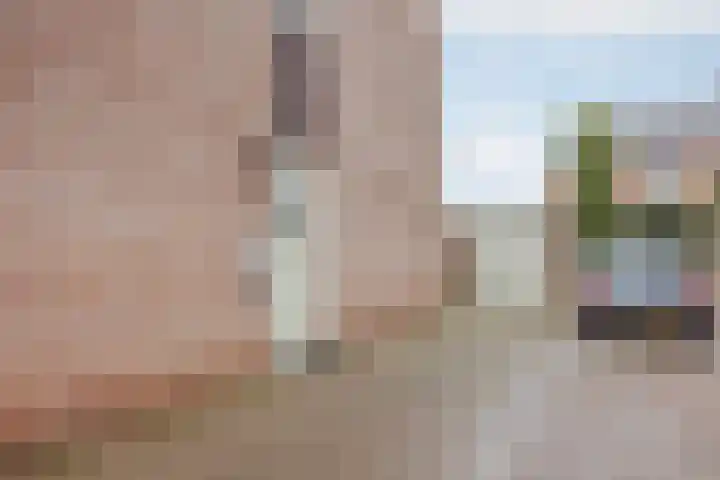 van Wijlickshove 11 Lottum thumbnail 30