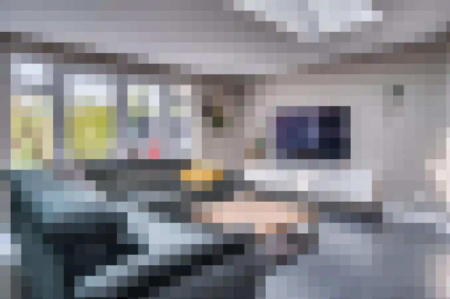 van Wijlickshove 29 Lottum thumbnail 10