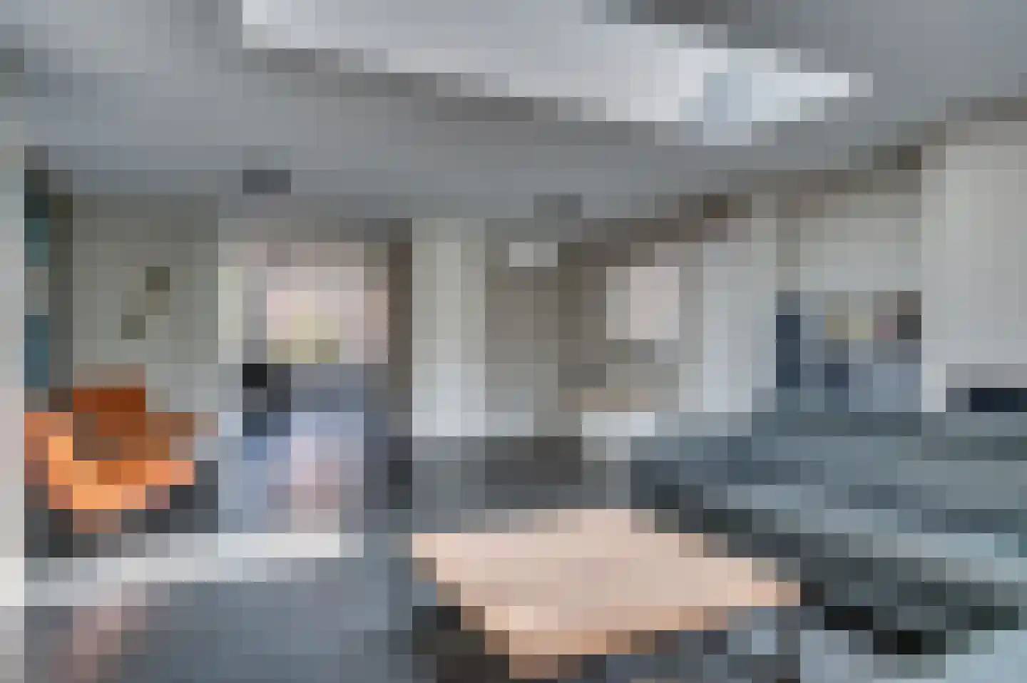 van Wijlickshove 29 Lottum thumbnail 13
