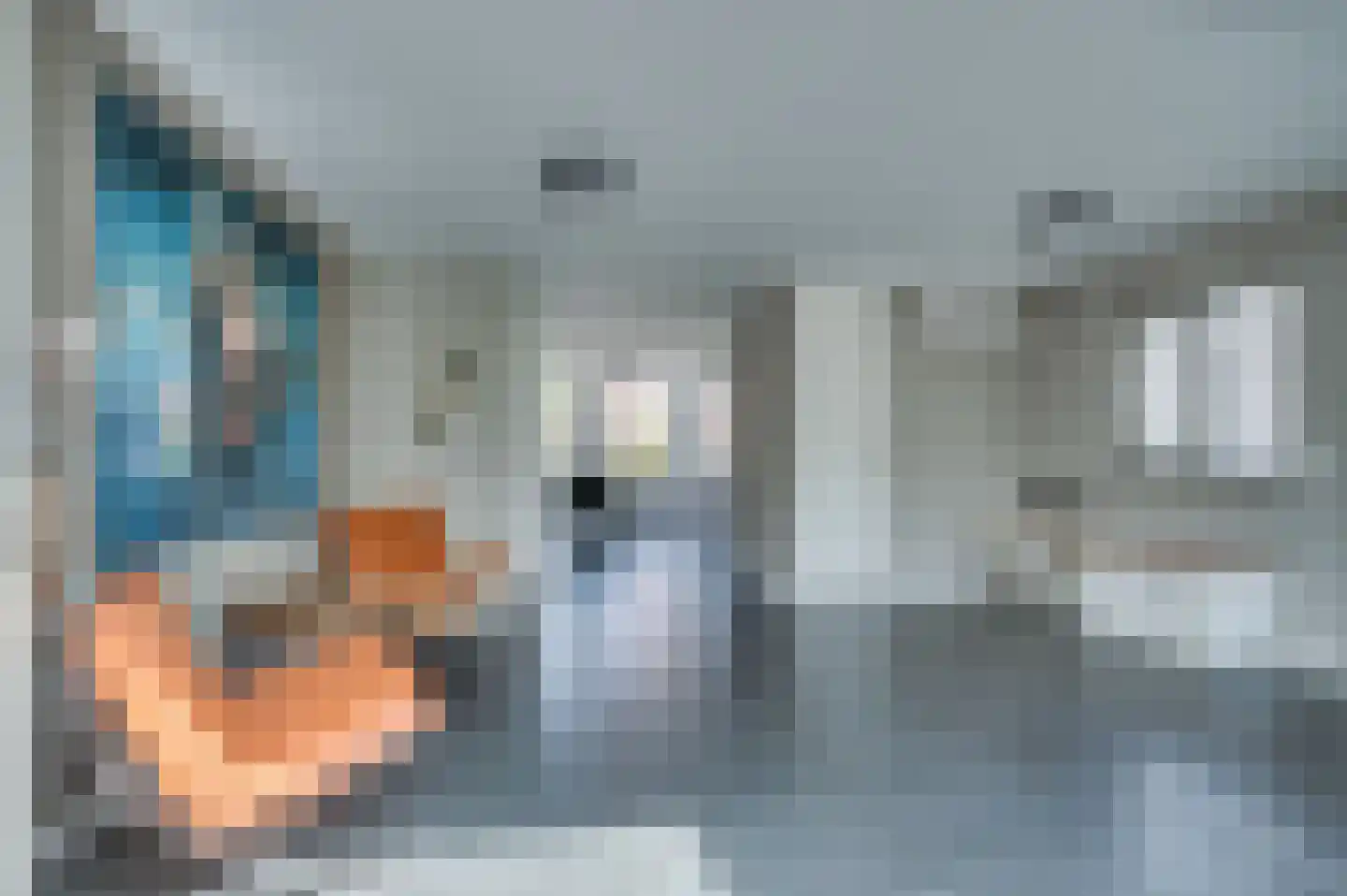 van Wijlickshove 29 Lottum thumbnail 14